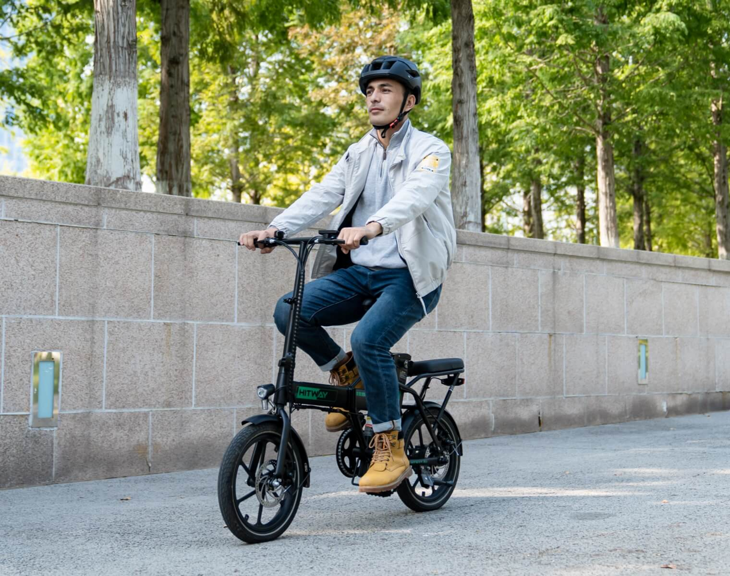 HITWAY BK5S Folding Electric Bike