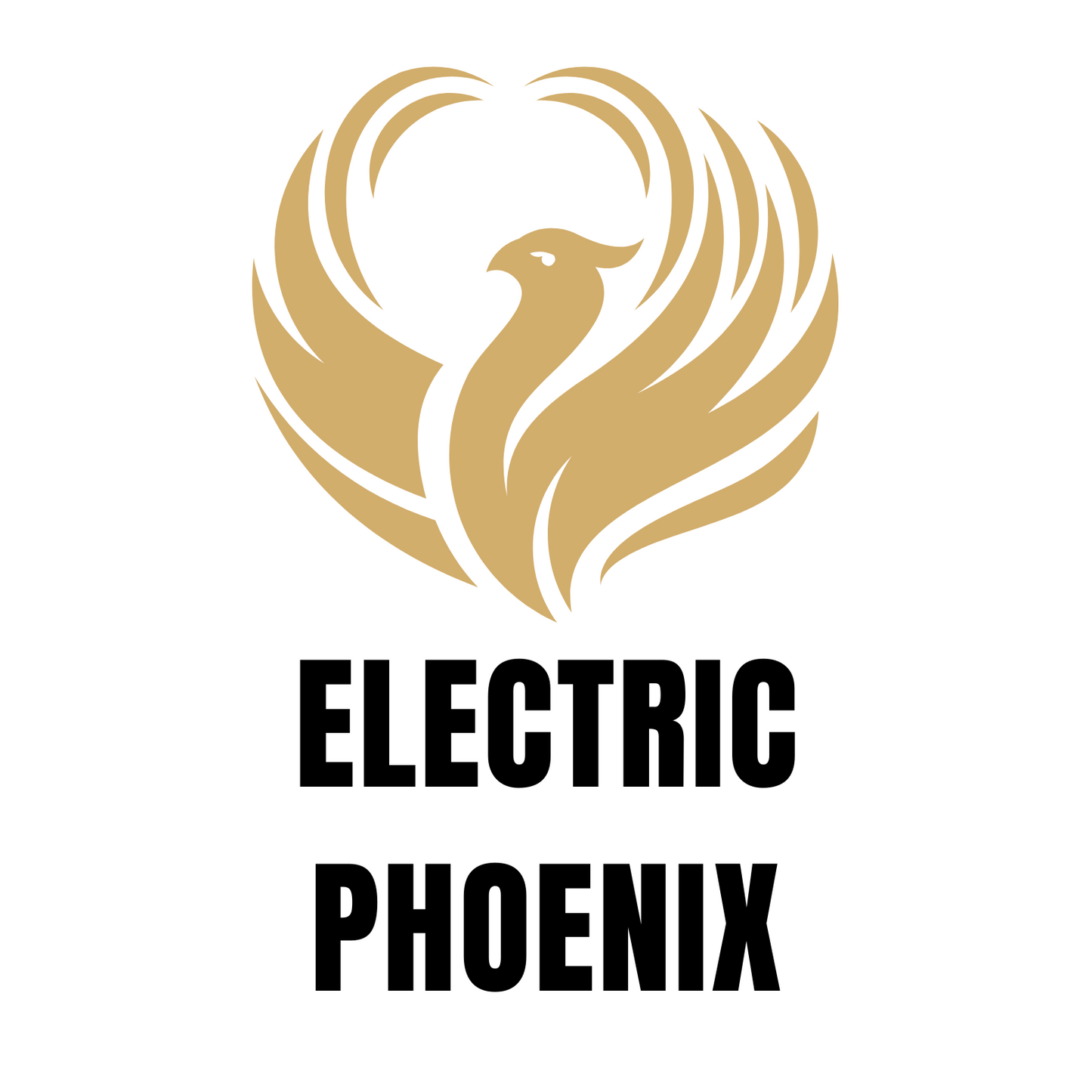 Electric Phoenix Electric Bikes and Scooters