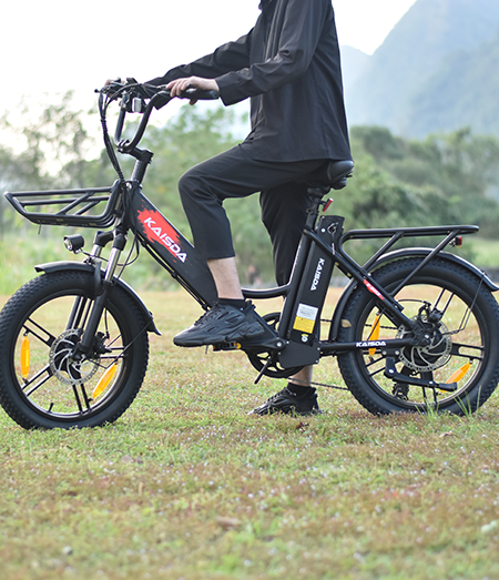 KAISDA K201 3.0