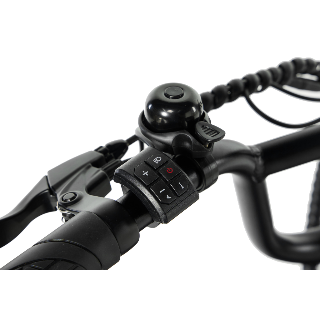 PIXAR Ride1 Fat Tyre Mountain E-Bike