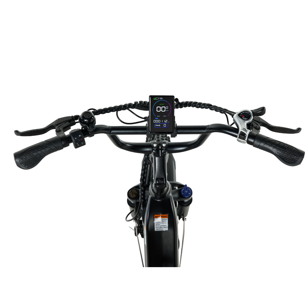 PIXAR Ride1 Fat Tyre Mountain E-Bike