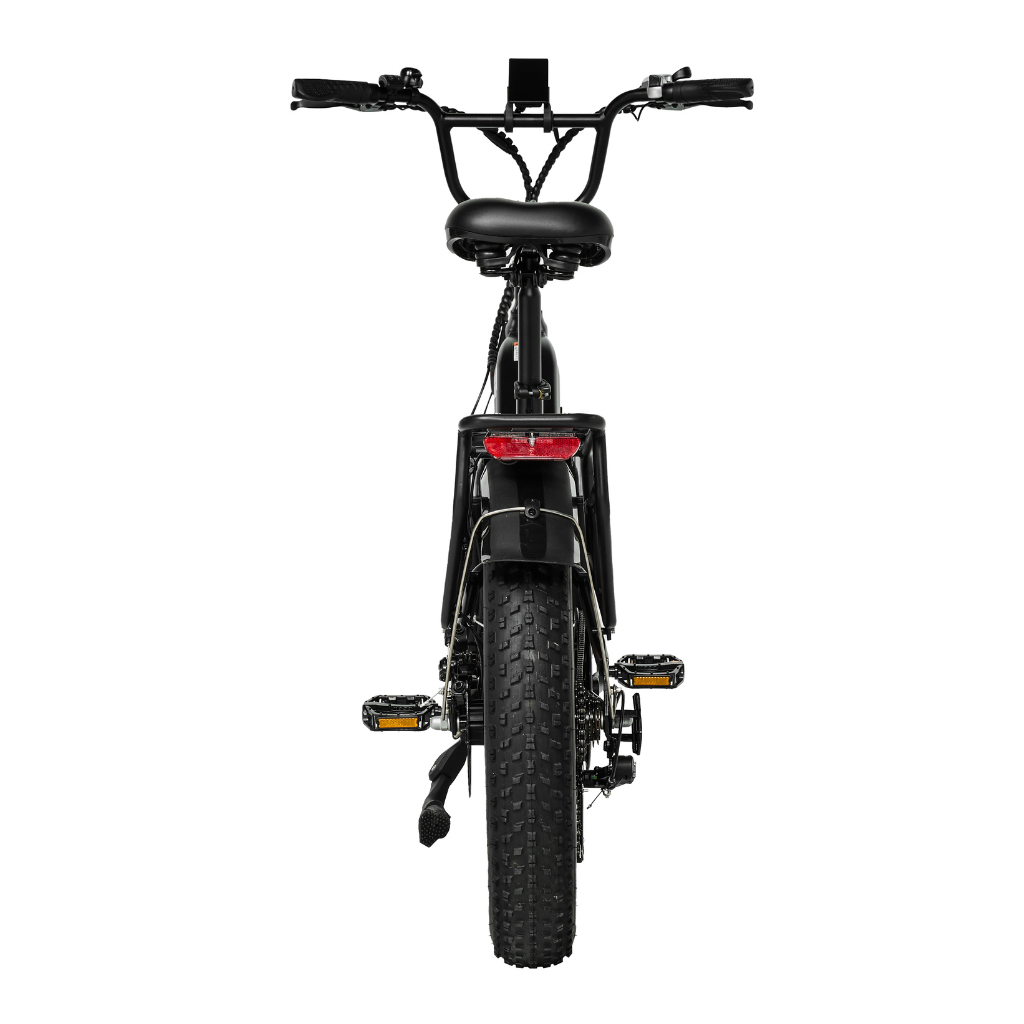 PIXAR Ride1 Fat Tyre Mountain E-Bike