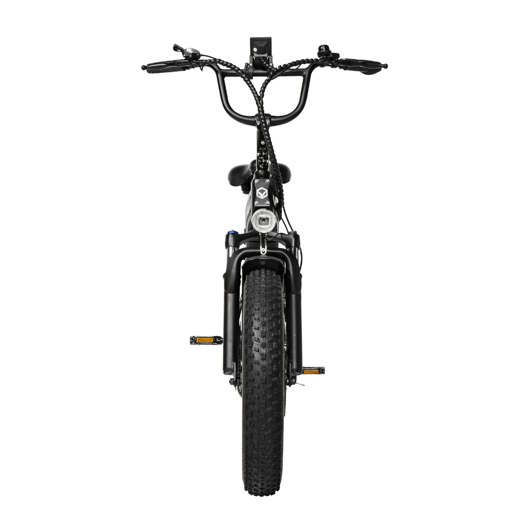 PIXAR Ride1 Fat Tyre Mountain E-Bike