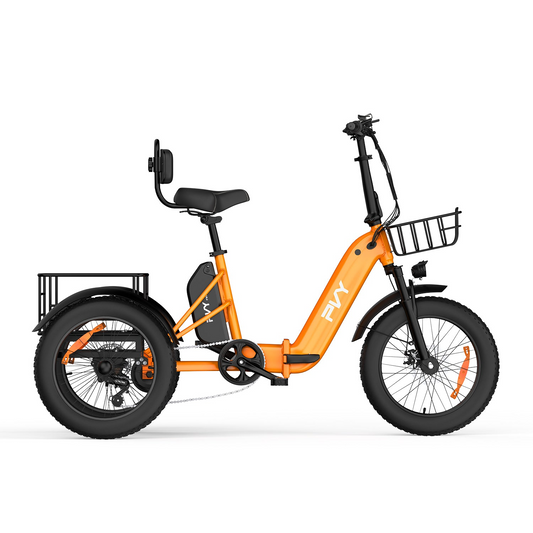PVY F20 Cargo E-Bike