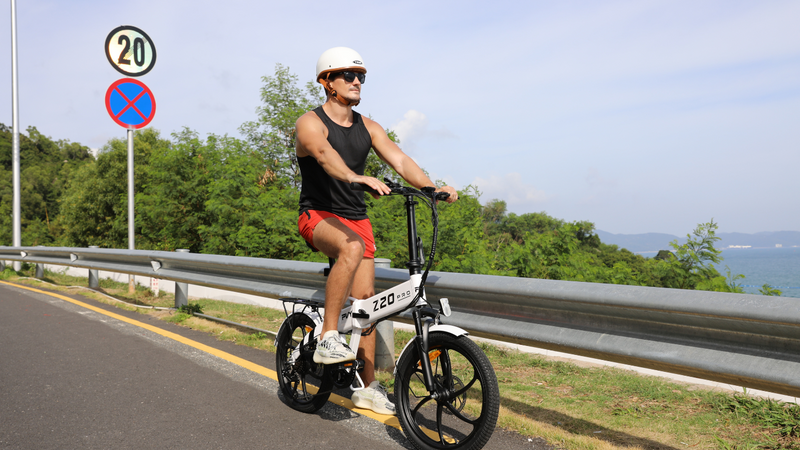 Pre Order-PVY Z20 Pro Folding E-bike