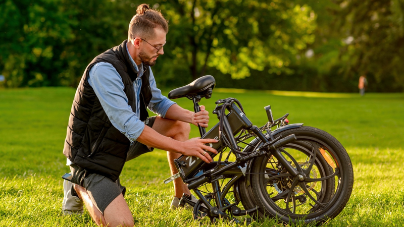 Pre Order-PVY Z20 Pro Folding E-bike