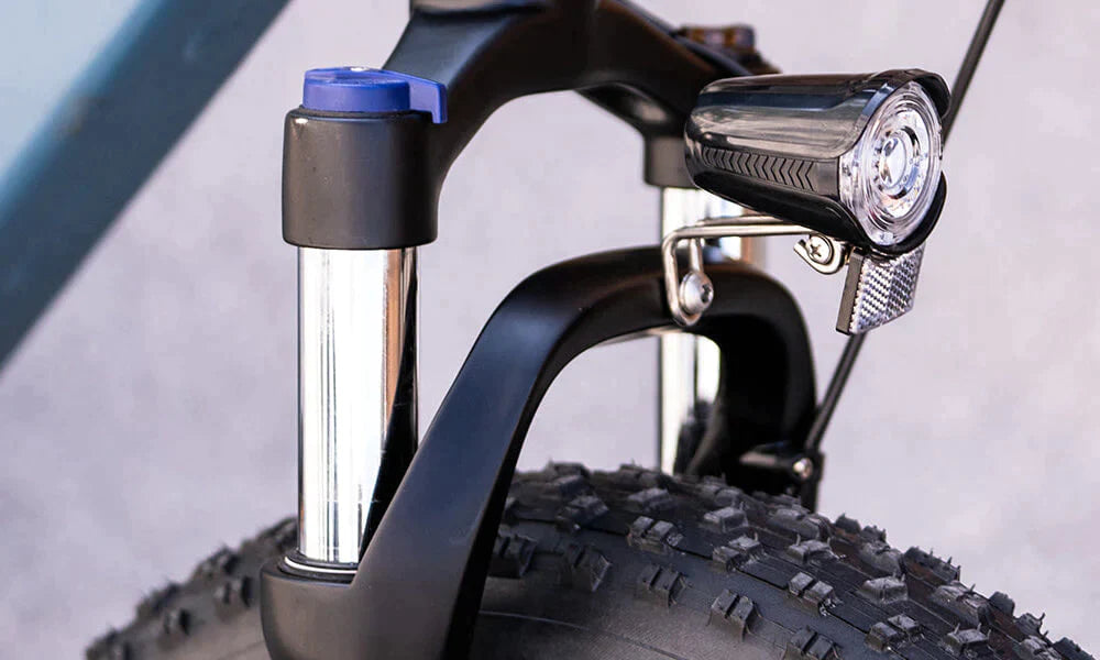 DYU FF500 20 Inch Fat Tire Electric Bike image 2