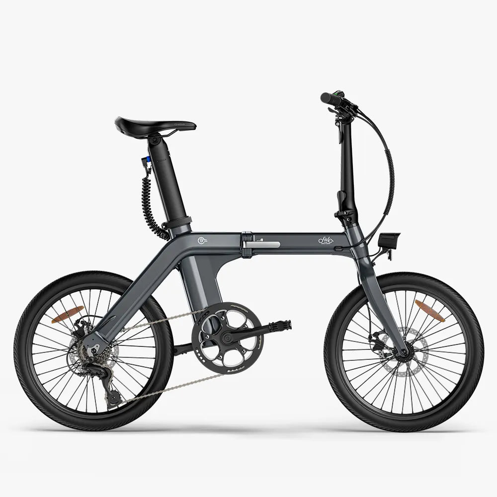 Fiido D11 250W Folding E-bike Removable Battery image 0