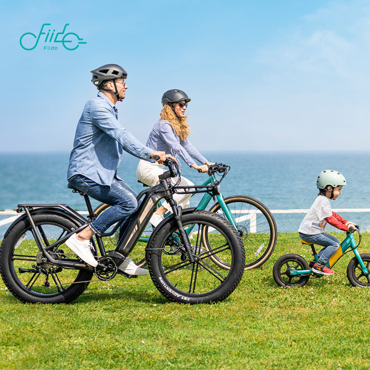 Fiido Electric Bike