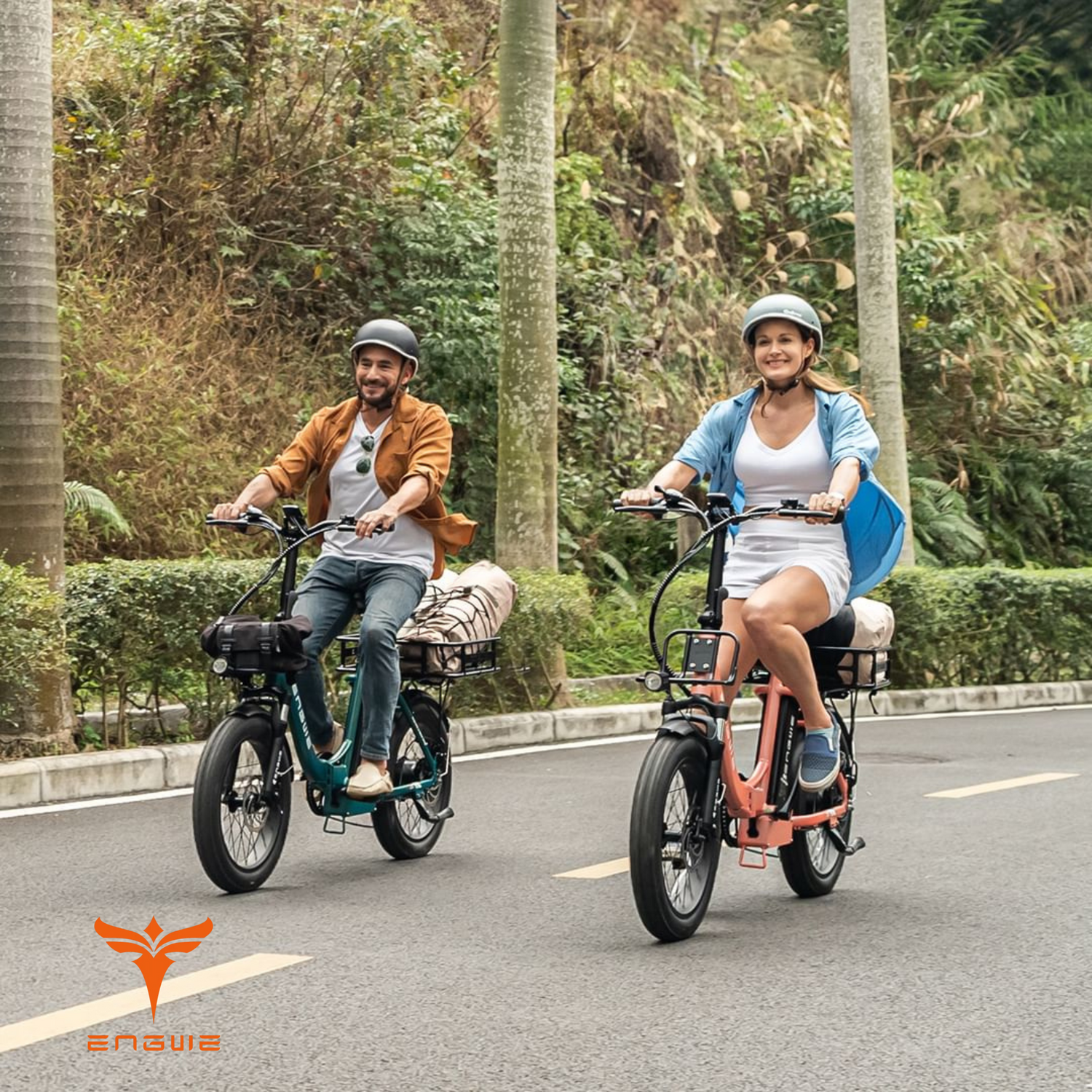 Engwe Electric Bike