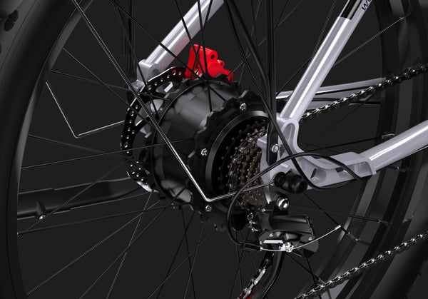 DUOTTS F26 Electric Bike image 14