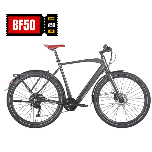 Fafrees F700M City E-bike