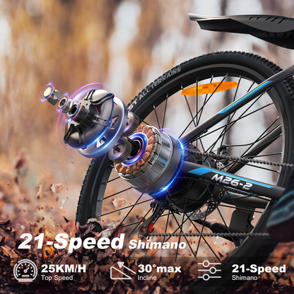 Varun M26-2 Altus E-Bike