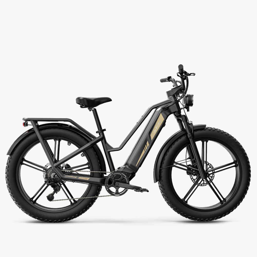 Fiido Electric Bike Electric Phoenix fiido-electric-bike-electric-phoenix