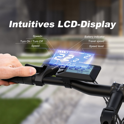 Varun M26-2 Altus E-Bike