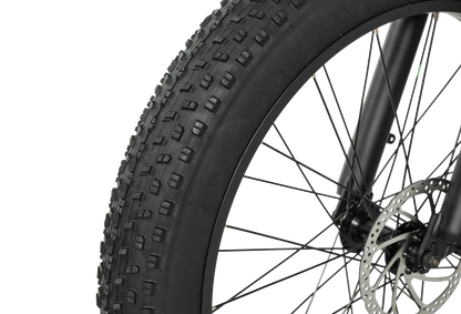 PIXAR® Space1 Fat Tire Mountain Bike