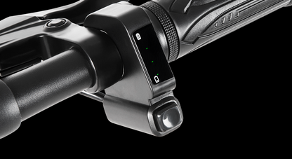DYU C3 14 Inch Folding Ebike image 3