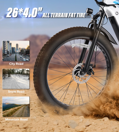 VARUN S26-1 Electric Bike image 11