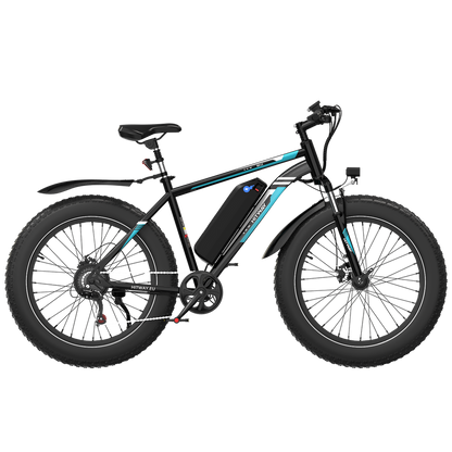 HITWAY BK15 4.0 Fat Tire Electric Bike
