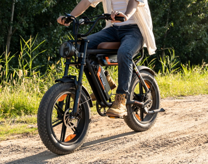 HITWAY BK17 Dual Battery Electric Bike