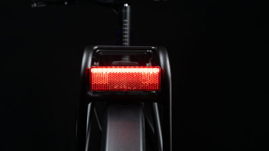 Cyrusher Asuka Trekking E-Bike