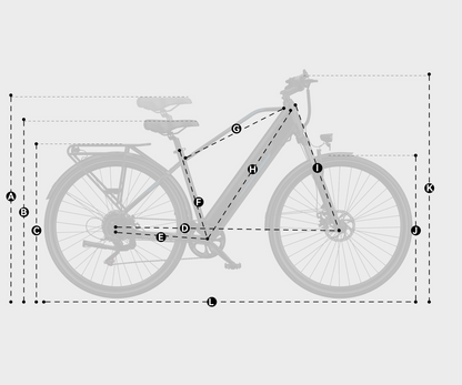 DUOTTS C29 Lite Electric Bike