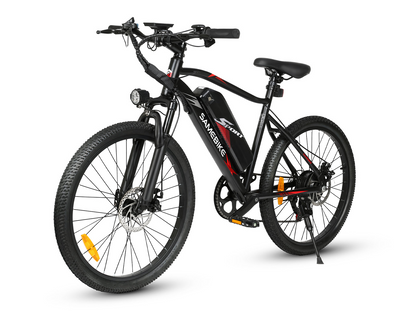 EBE2 Mountain Ebike With Torque-Sensor