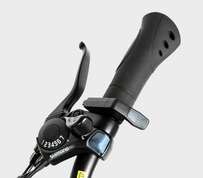 EBE2 Mountain Ebike With Torque-Sensor