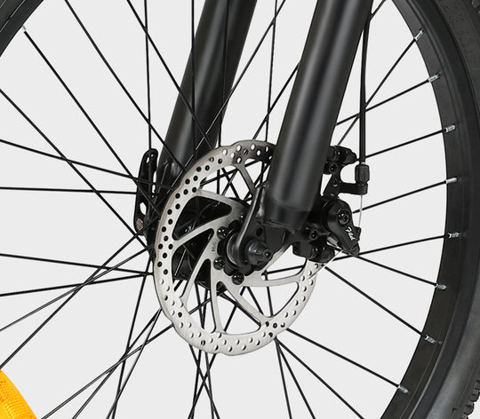 EBE2 Mountain Ebike With Torque-Sensor