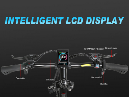 EBE2 Mountain Ebike With Torque-Sensor