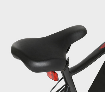 EBE2 Mountain Ebike With Torque-Sensor