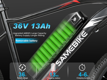 EBE2 Mountain Ebike With Torque-Sensor