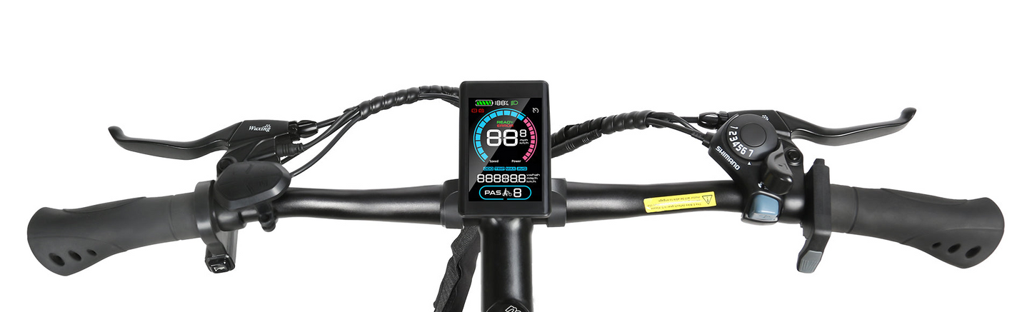 EBE2 Mountain Ebike With Torque-Sensor