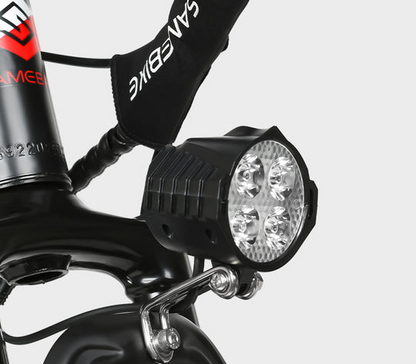 EBE2 Mountain Ebike With Torque-Sensor