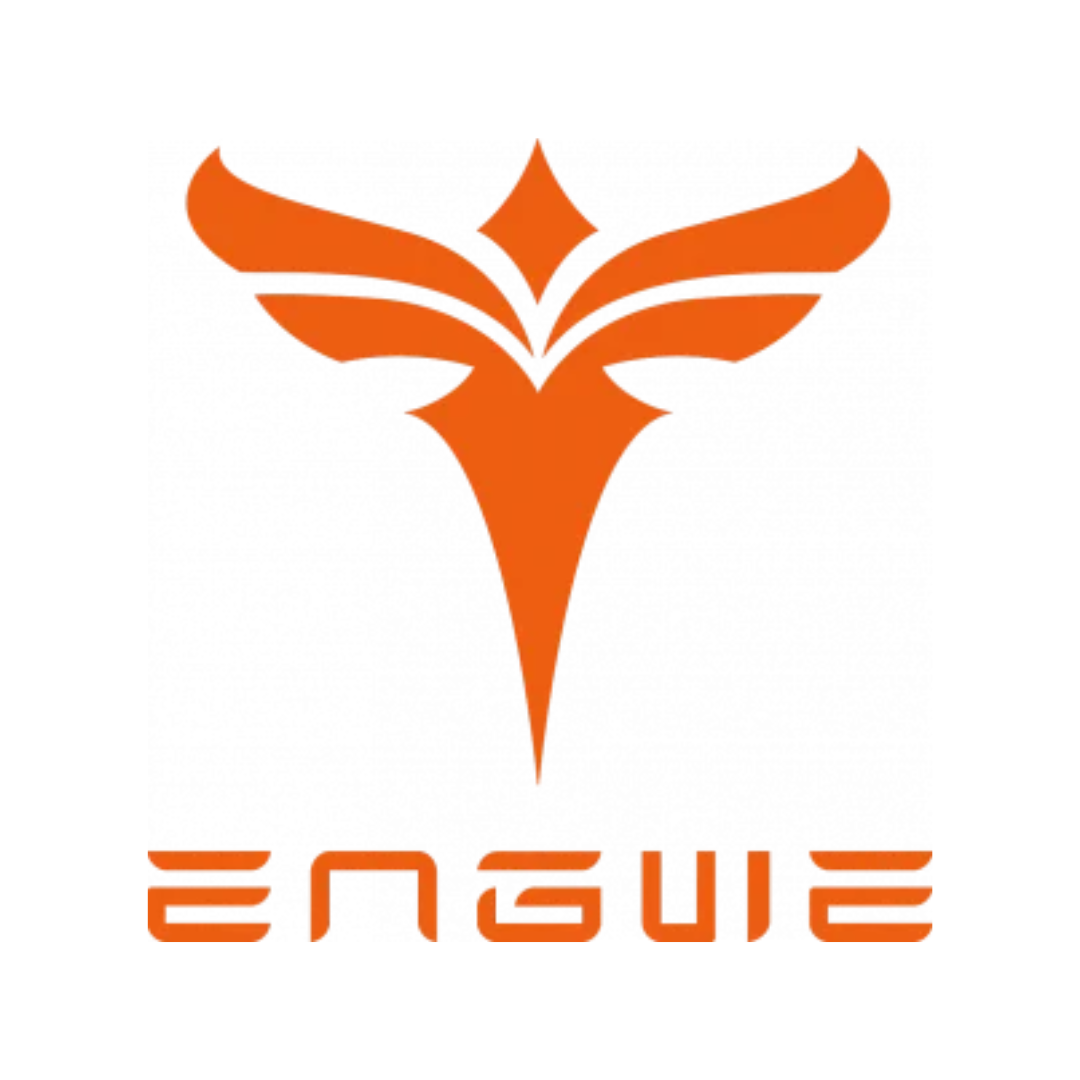 Engwe Electric Bikes