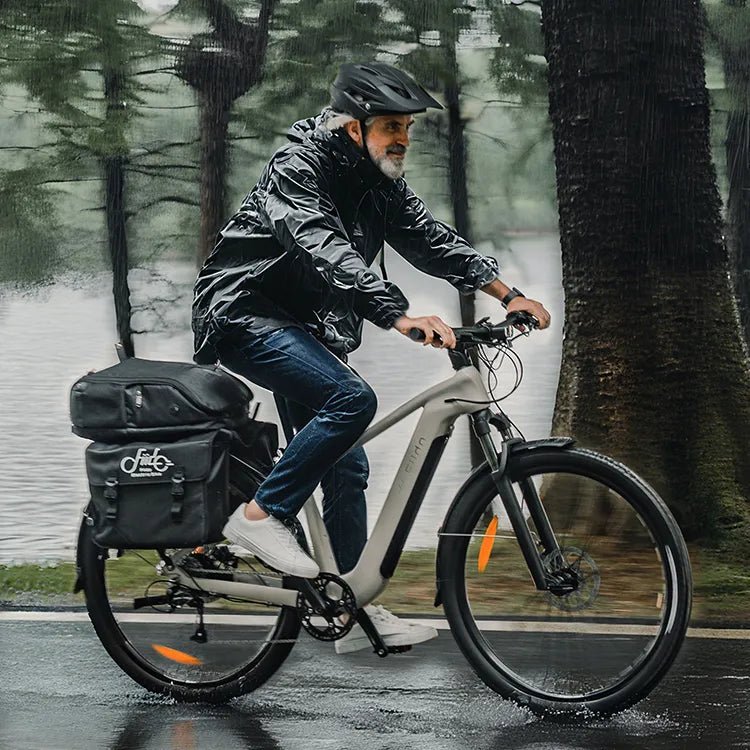 Fiido Nomads Touring E-bike