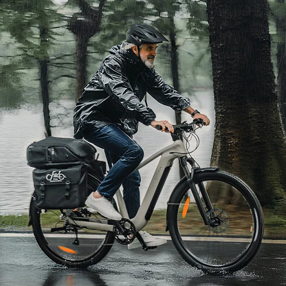 Fiido Nomads Touring E-bike
