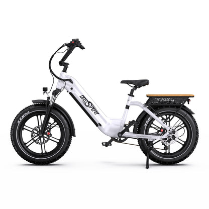 Onesport OT08 Fat Tire E-Bike