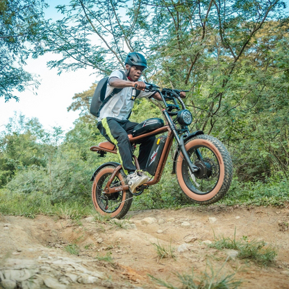 M20-III 160+Nm High Torque Electric Bicycle