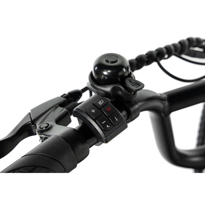 PIXAR Ride1 Fat Tyre Mountain E-Bike