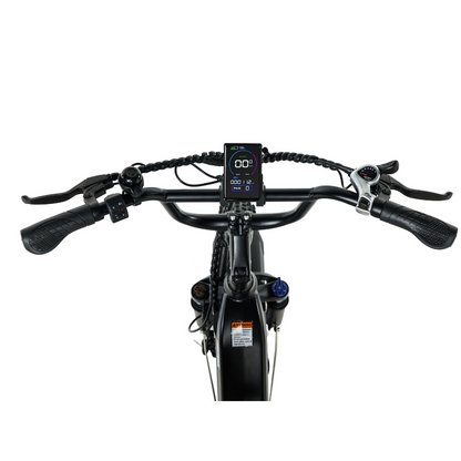 PIXAR Ride1 Fat Tyre Mountain E-Bike