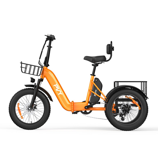 PVY F20 Cargo E-Bike
