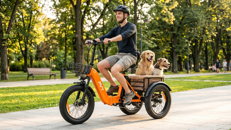 PVY F20 Cargo E-Bike