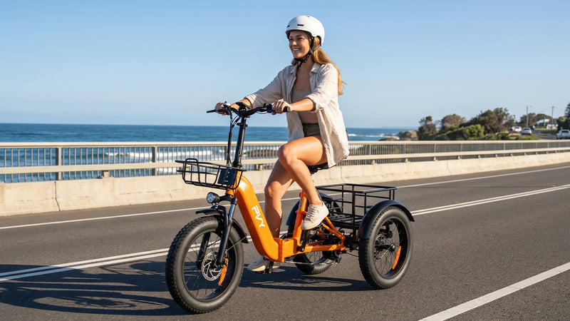 PVY F20 Cargo E-Bike