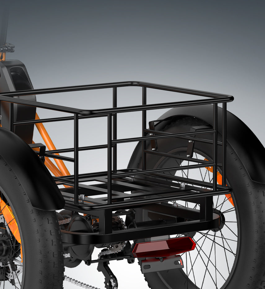 PVY F20 Cargo E-Bike