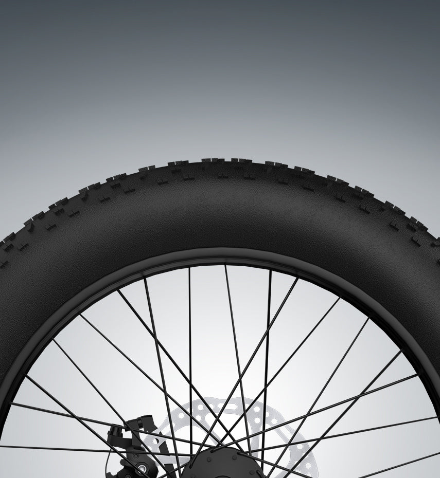 PVY F20 Cargo E-Bike