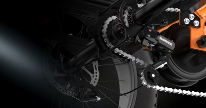 PVY F20 Cargo E-Bike