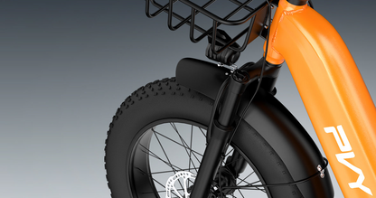 PVY F20 Cargo E-Bike