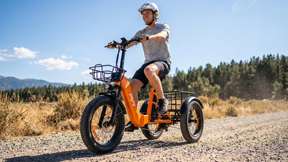 PVY F20 Cargo E-Bike