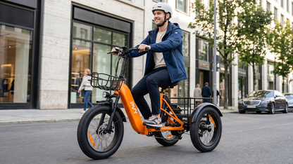 PVY F20 Cargo E-Bike